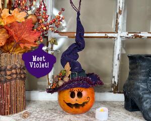 This image shows a Halloween witch decoration. It is made from a real dried gourd. Her name is Violet and has a purple witch hat. 